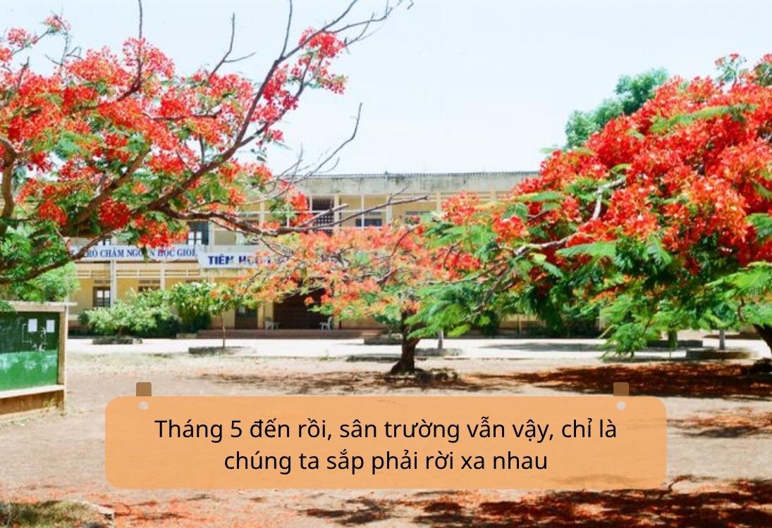 STT tháng 5 xúc động khi chia xa mái trường