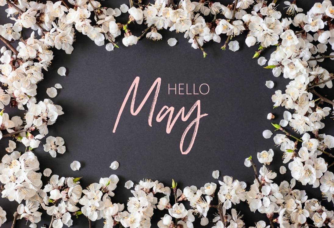 Caption tháng 5 bằng tiếng Anh ngắn gọn Hello May