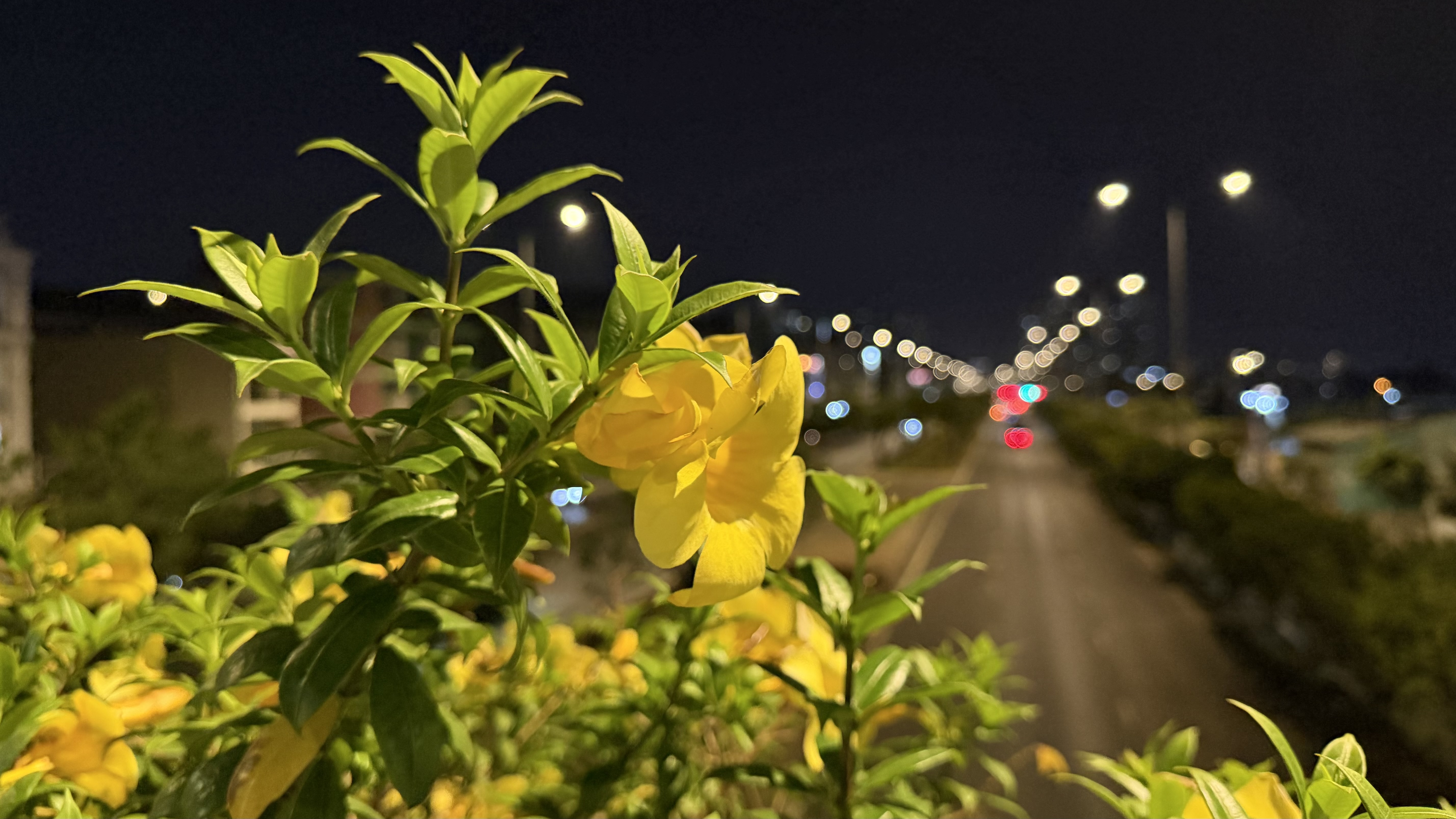 Đánh giá iPhone 17 Pro Max: Lần đầu mình nghiêm túc sử dụng một chiếc iPhone