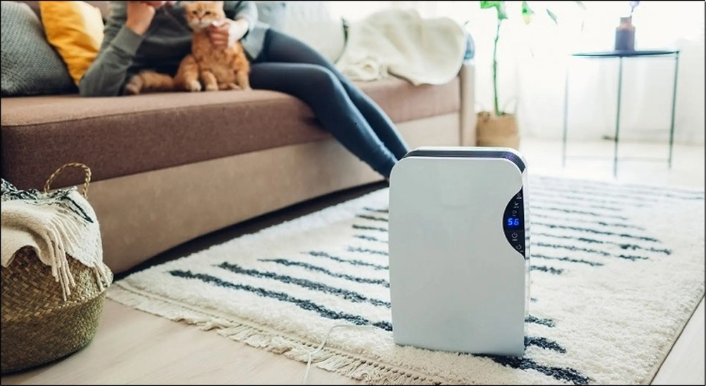 Máy hút ẩm ngưng tụ có khả năng loại bỏ lượng lớn hơi ẩm trong thời gian ngắn