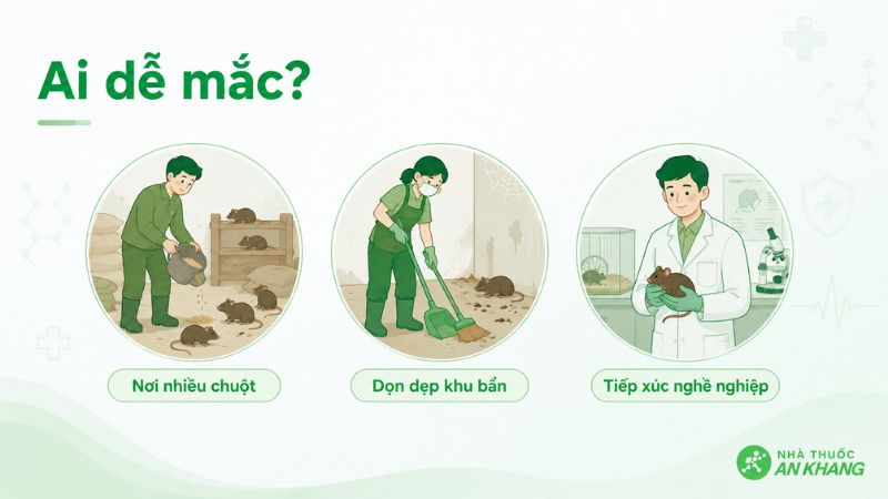 Những đối tượng c&oacute; nguye cơ mắc sốt xuất huyết k&egrave;m suy thận do virus hanta