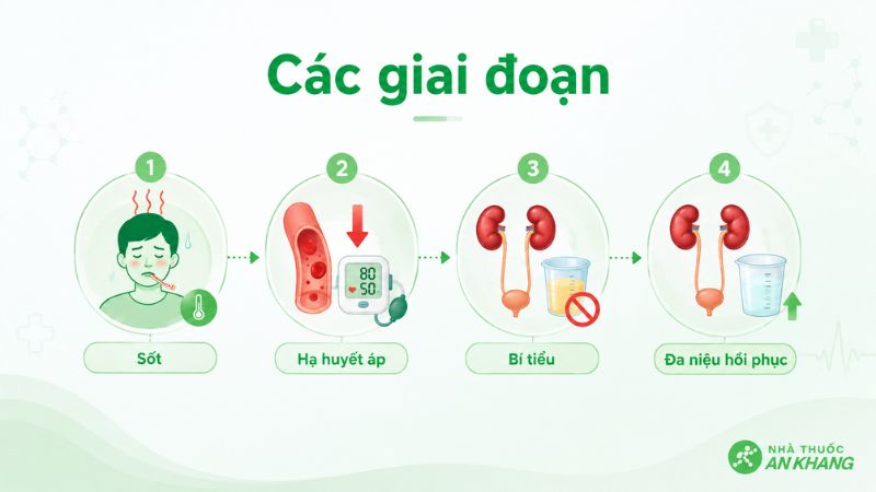C&aacute;c giai đoạn tiến triển của sốt xuất huyết k&egrave;m suy thận do virus hanta