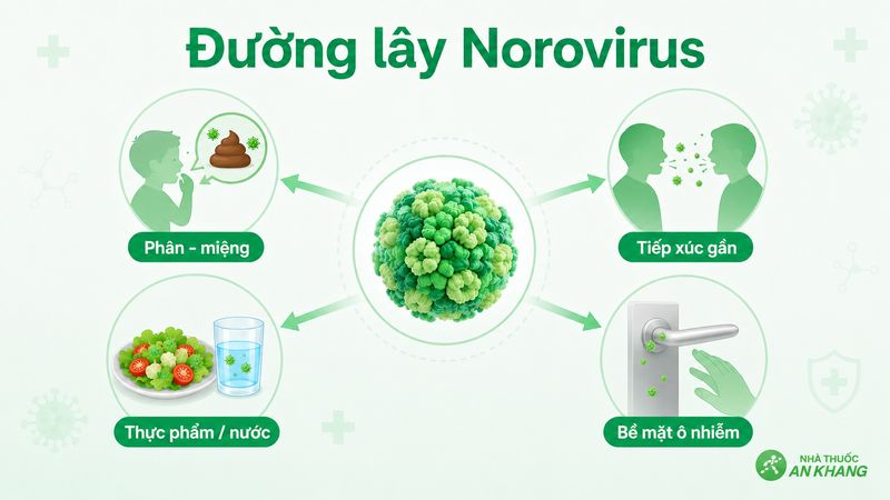 Các đường lây nhiễm do Norovirus Các đường lây nhiễm do Norovirus