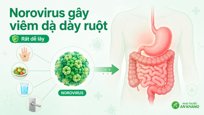 Novovirus là một trong những nguyên nhân thường gặp gây tiêu chảy, nôn ói Novovirus là một trong những nguyên nhân thường gặp gây tiêu chảy, nôn ói