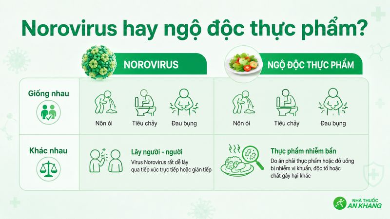 Những điểm giống và khác nhau giữa Norovirus và ngộ độc thực phẩm Những điểm giống và khác nhau giữa Norovirus và ngộ độc thực phẩm