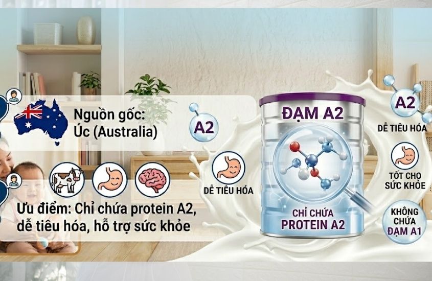 ại sao đạm A2 lại tốt cho hệ tiêu hóa của bé ại sao đạm A2 lại tốt cho hệ tiêu hóa của bé