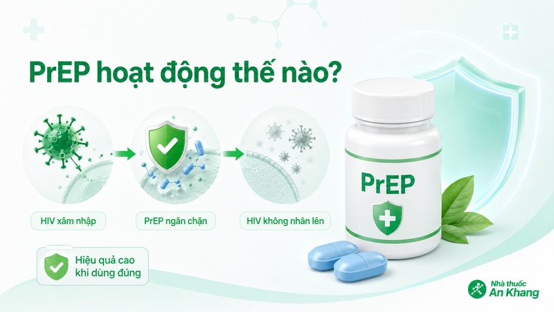 PrEP giúp ngăn HIV nhân lên nếu virus xâm nhập vào cơ thể PrEP giúp ngăn HIV nhân lên nếu virus xâm nhập vào cơ thể