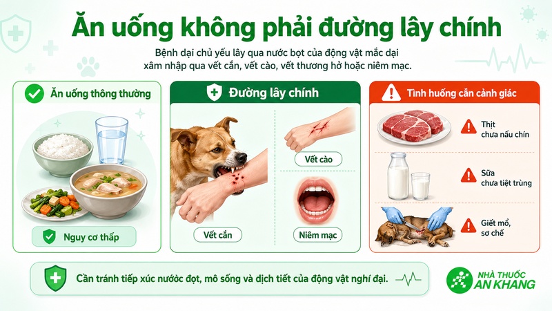 Ăn uống thông thường không phải đường lây chính của bệnh dại, nhưng cần thận trọng khi tiếp xúc với động vật nghi dại Ăn uống thông thường không phải đường lây chính của bệnh dại, nhưng cần thận trọng khi tiếp xúc với động vật nghi dại