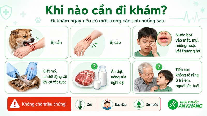Không nên chờ xuất hiện triệu chứng bệnh dại mới đi khám, vì dự phòng cần được thực hiện càng sớm càng tốt Không nên chờ xuất hiện triệu chứng bệnh dại mới đi khám, vì dự phòng cần được thực hiện càng sớm càng tốt