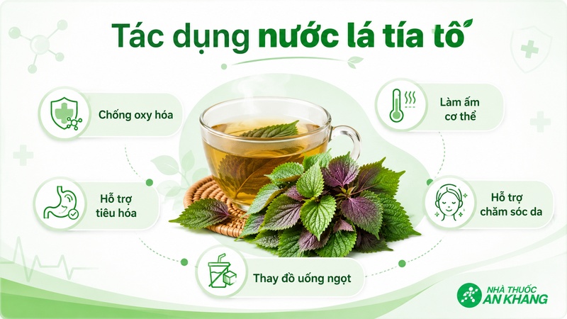 Nước lá tía tô có thể hỗ trợ bổ sung chất chống oxy hoá, làm ấm cơ thể và hỗ trợ tiêu hoá nhẹ Nước lá tía tô có thể hỗ trợ bổ sung chất chống oxy hoá, làm ấm cơ thể và hỗ trợ tiêu hoá nhẹ