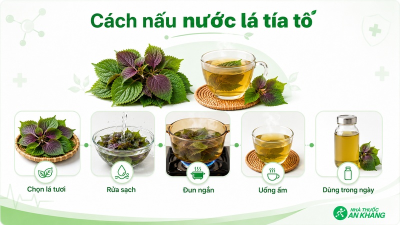Nên chọn lá tía tô tươi, rửa sạch và uống nước lá tía tô trong ngày Nên chọn lá tía tô tươi, rửa sạch và uống nước lá tía tô trong ngày
