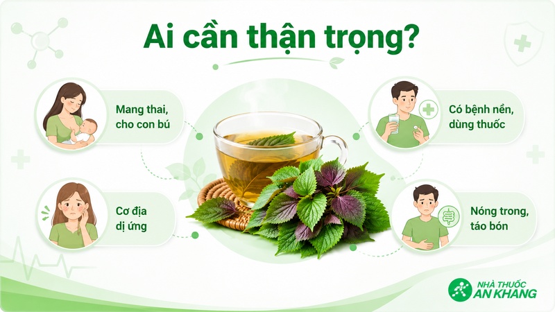 Phụ nữ mang thai, người có cơ địa dị ứng hoặc bệnh nền nên hỏi ý kiến chuyên gia trước khi uống nước lá tía tô thường xuyên. Phụ nữ mang thai, người có cơ địa dị ứng hoặc bệnh nền nên hỏi ý kiến chuyên gia trước khi uống nước lá tía tô thường xuyên.