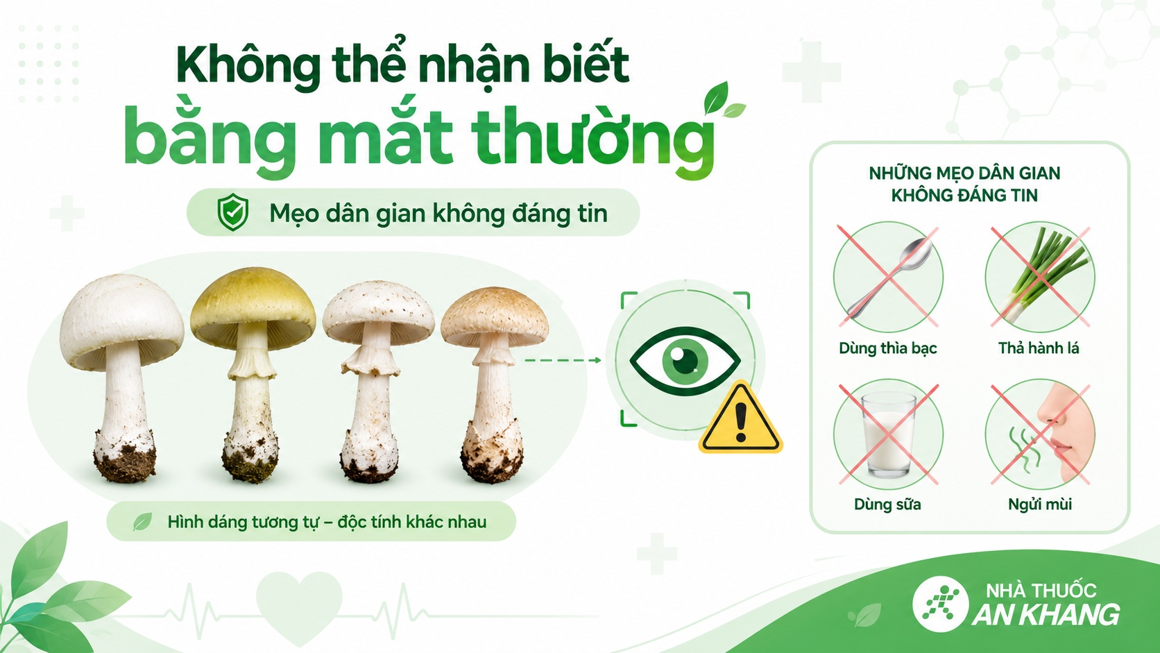 Không thể nhận biết nấm độc chính xác chỉ bằng mắt thường hoặc mẹo dân gian