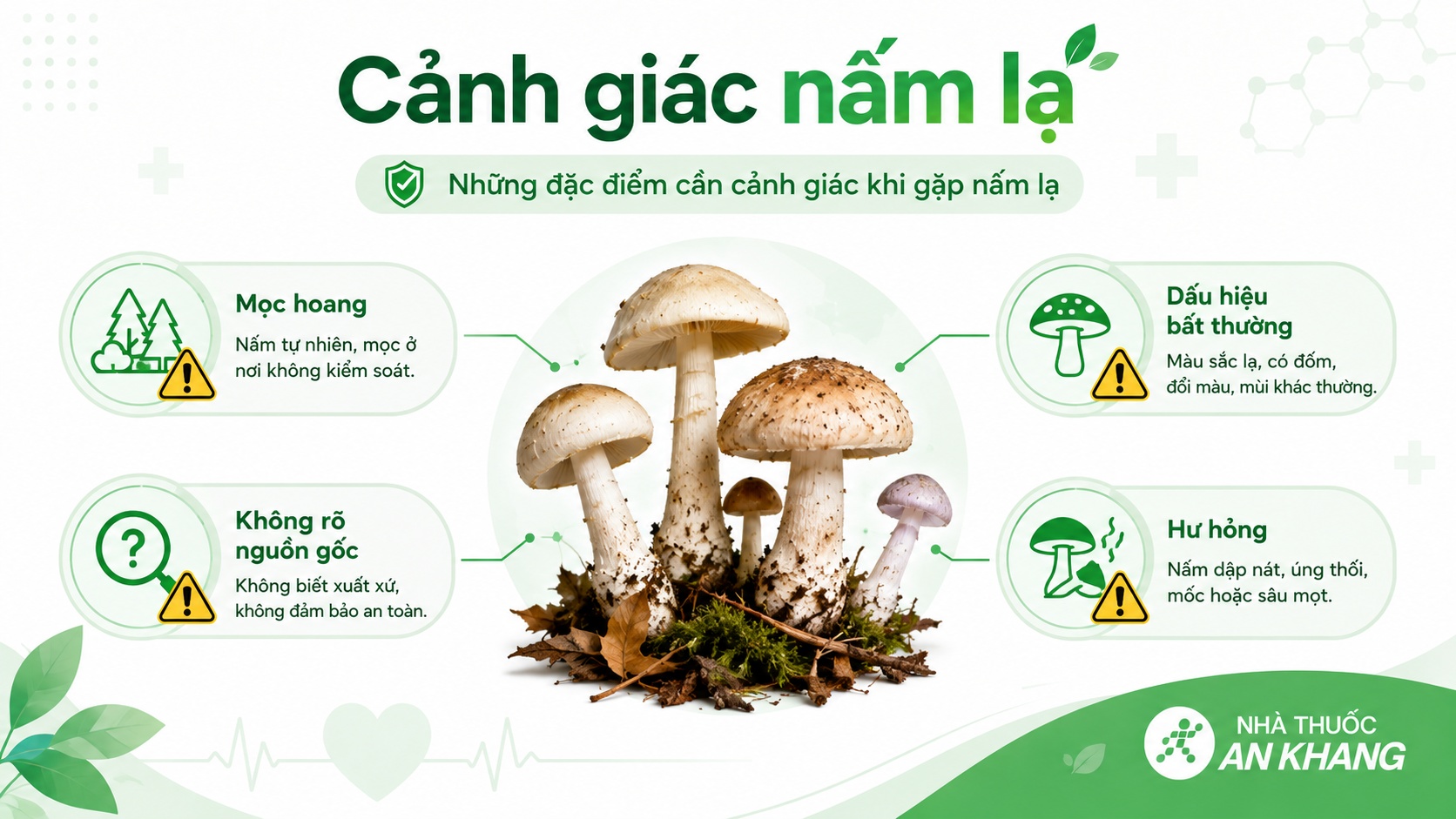 Nấm mọc hoang, nấm không rõ nguồn gốc hoặc nấm hư hỏng đều cần được cảnh giác