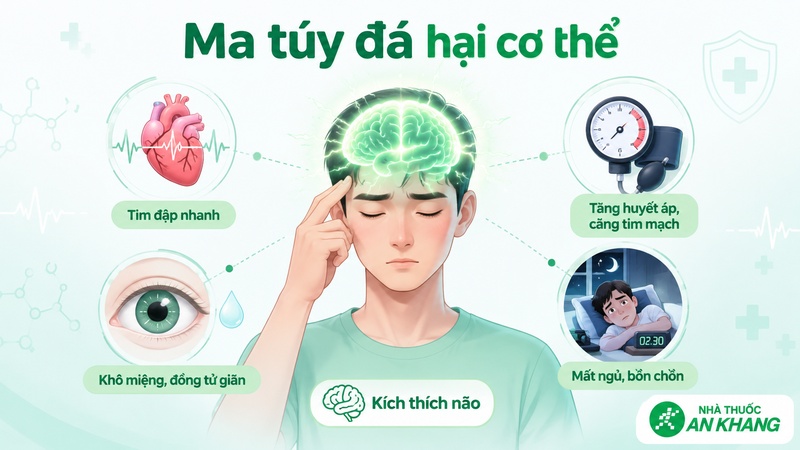 Ma túy đá tác động mạnh lên hệ thần kinh trung ương và có thể gây hại ngay sau khi sử dụng Ma túy đá tác động mạnh lên hệ thần kinh trung ương và có thể gây hại ngay sau khi sử dụng