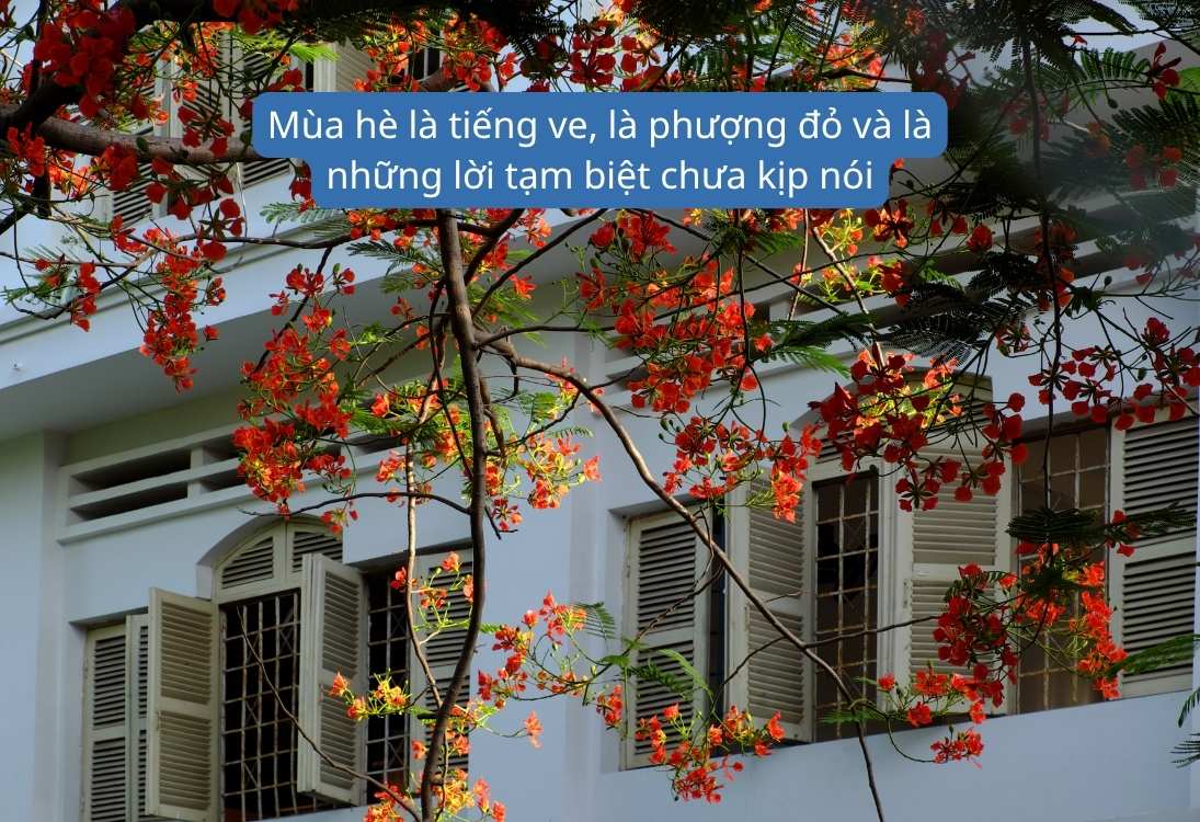 Stt mùa hè dành cho học sinh, sinh viên