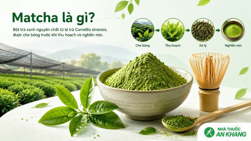 Matcha kh&aacute;c tr&agrave; xanh th&ocirc;ng thường ở c&aacute;ch sử dụng: người uống ti&ecirc;u thụ cả phần l&aacute; tr&agrave; nghiền mịn