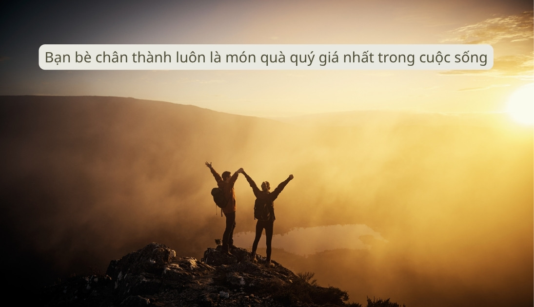 STT hay về tình bạn chân thành, đáng trân trọng