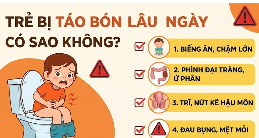 Trẻ bị táo bón lâu ngày sẽ có nguy cơ mắc bệnh trĩ, sa trực tràng