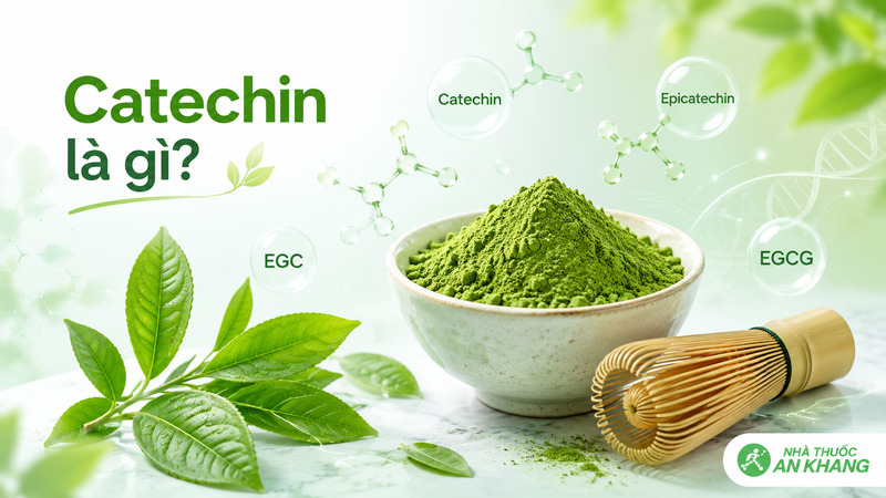 Catechin l&agrave; hợp chất polyphenol tự nhi&ecirc;n c&oacute; trong tr&agrave; xanh, matcha, tr&aacute;i c&acirc;y v&agrave; ca cao, nổi bật với khả năng chống oxy h&oacute;a.
