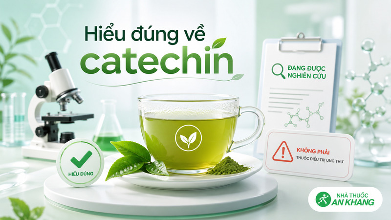 Catechin v&agrave; EGCG đang được nghi&ecirc;n cứu về vai tr&ograve; chống oxy h&oacute;a, nhưng kh&ocirc;ng phải l&agrave; thuốc ph&ograve;ng ngừa hay điều trị ung thư.