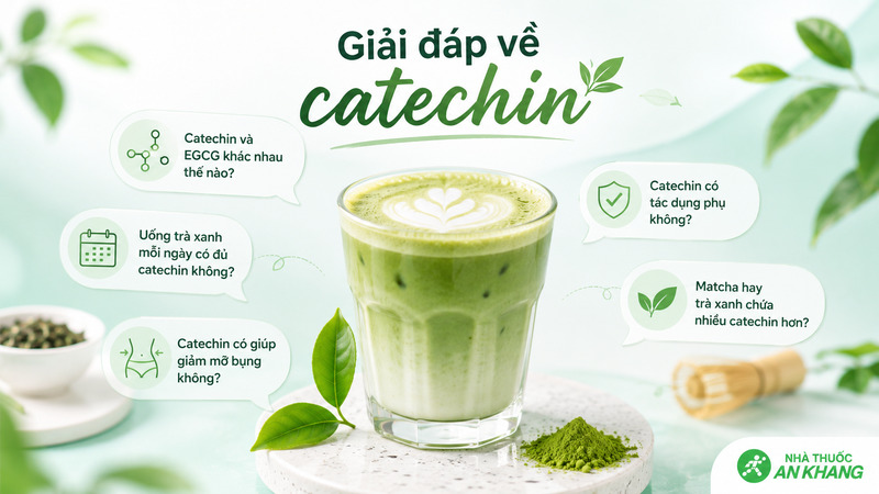 Catechin, EGCG, tr&agrave; xanh v&agrave; matcha l&agrave; những chủ đề thường được quan t&acirc;m khi t&igrave;m hiểu về lợi &iacute;ch v&agrave; c&aacute;ch d&ugrave;ng an to&agrave;n.