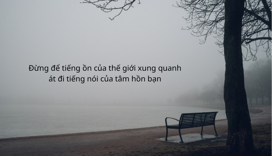 Những câu nói hay về sự tĩnh lặng và buông bỏ để có được bình yên
