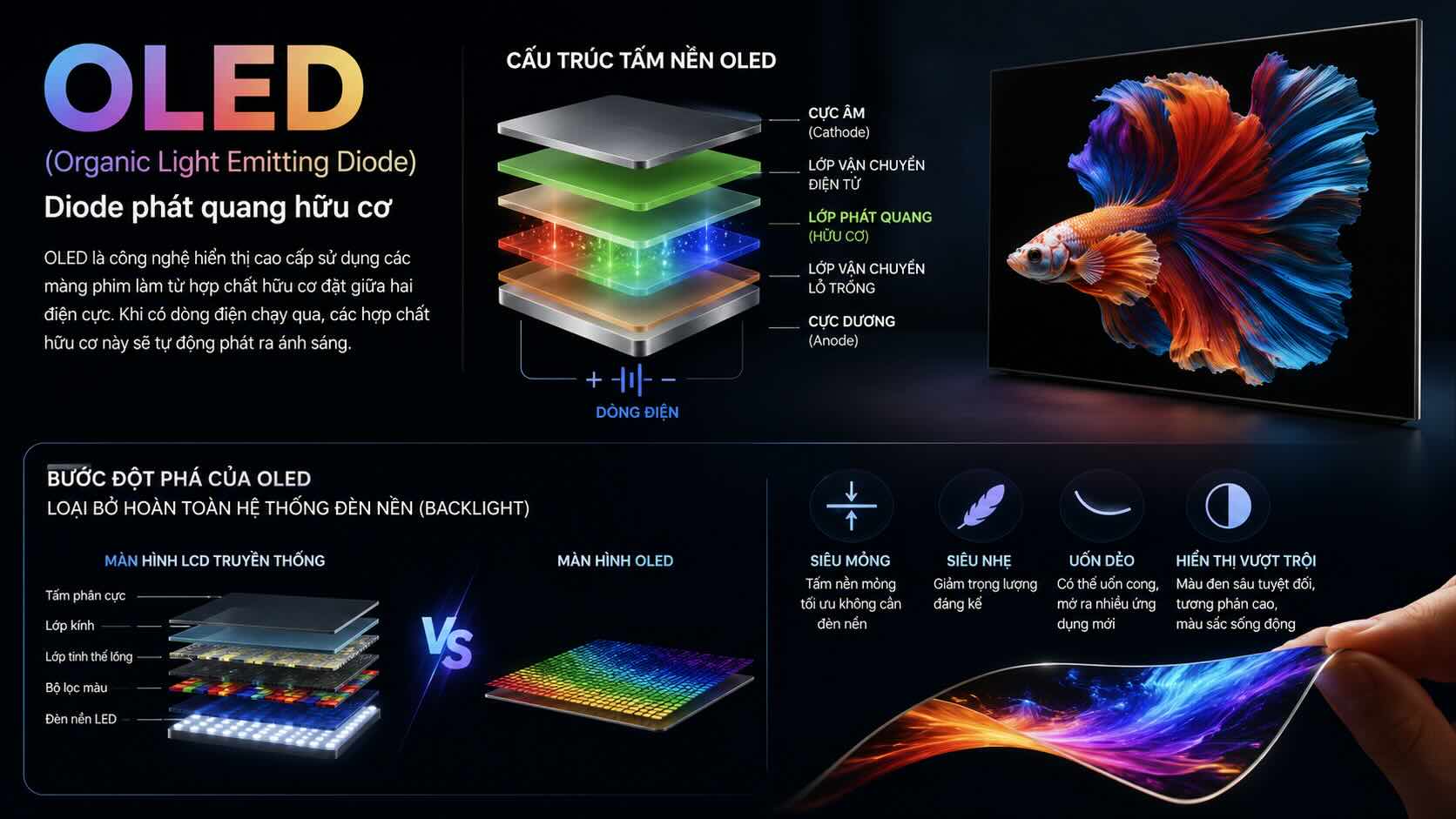 Màn hình OLED là gì Màn hình OLED là gì