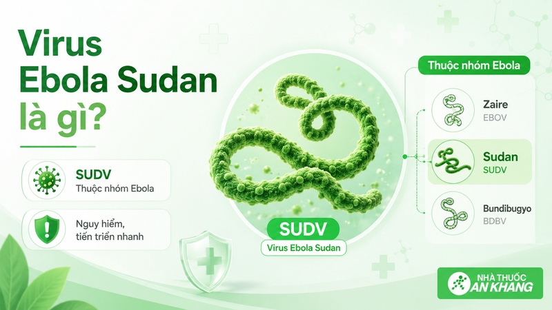 Virus Ebola Sudan là một chủng Ebola có thể gây bệnh nặng và biến chứng nguy hiểm Virus Ebola Sudan là một chủng Ebola có thể gây bệnh nặng và biến chứng nguy hiểm
