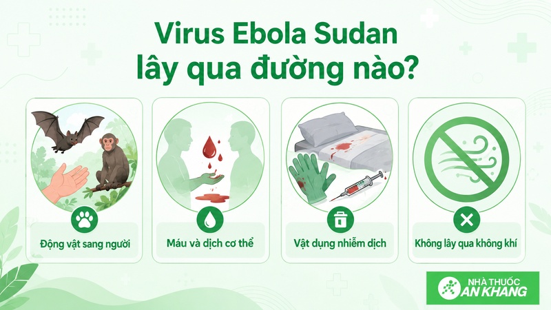 Ebola Sudan lây qua máu, dịch cơ thể, vật dụng nhiễm bẩn hoặc động vật nguy cơ Ebola Sudan lây qua máu, dịch cơ thể, vật dụng nhiễm bẩn hoặc động vật nguy cơ