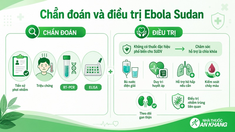 Chẩn đoán Ebola Sudan cần dựa vào yếu tố dịch tễ, triệu chứng và xét nghiệm, điều trị chủ yếu là chăm sóc hỗ trợ kịp thời. Chẩn đoán Ebola Sudan cần dựa vào yếu tố dịch tễ, triệu chứng và xét nghiệm, điều trị chủ yếu là chăm sóc hỗ trợ kịp thời.