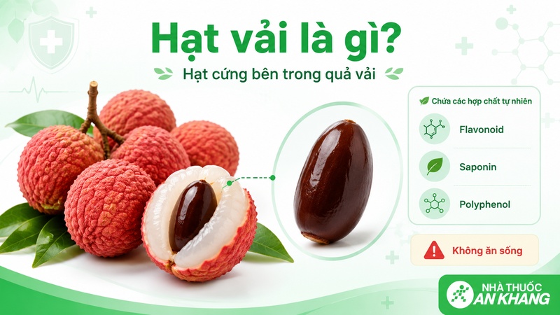 Hạt vải là phần nhân cứng bên trong quả vải, còn gọi là lệ chi hạch, chứa nhiều hợp chất thực vật như flavonoid, saponin và polyphenol. Hạt vải là phần nhân cứng bên trong quả vải, còn gọi là lệ chi hạch, chứa nhiều hợp chất thực vật như flavonoid, saponin và polyphenol.