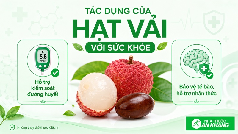Hạt vải được nghiên cứu về tiềm năng hỗ trợ kiểm soát đường huyết, chống oxy hóa, chống viêm và bảo vệ tế bào thần kinh. Hạt vải được nghiên cứu về tiềm năng hỗ trợ kiểm soát đường huyết, chống oxy hóa, chống viêm và bảo vệ tế bào thần kinh.