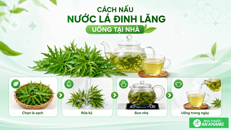 Nên chọn lá đinh lăng sạch, rửa kỹ, nấu loãng với nước sạch và uống trong ngày để đảm bảo an toàn.