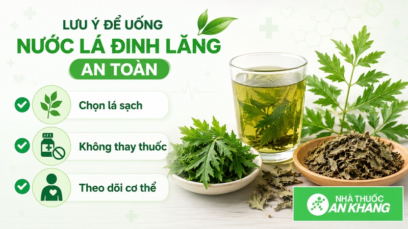 Nên chọn đúng lá đinh lăng sạch, không dùng để chữa bệnh và theo dõi phản ứng cơ thể khi uống