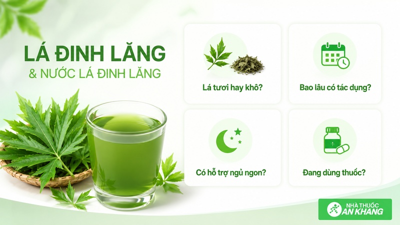 Hiểu đúng về lá đinh lăng giúp dùng thảo dược an toàn và hợp lý hơn