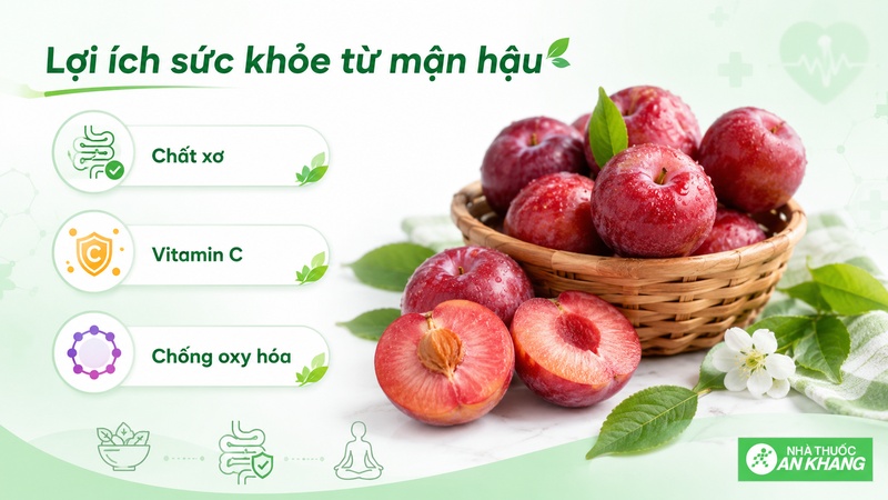 Mận hậu chứa chất xơ, vitamin C, vitamin A và các hợp chất chống oxy hóa, có thể góp phần bổ sung trái cây vào chế độ ăn. Mận hậu chứa chất xơ, vitamin C, vitamin A và các hợp chất chống oxy hóa, có thể góp phần bổ sung trái cây vào chế độ ăn.