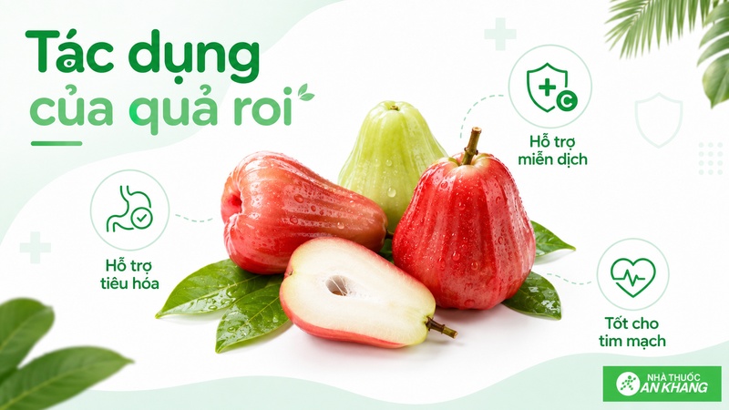 Quả roi có thể hỗ trợ tiêu hóa, miễn dịch và bổ sung vào chế độ ăn lành mạnh