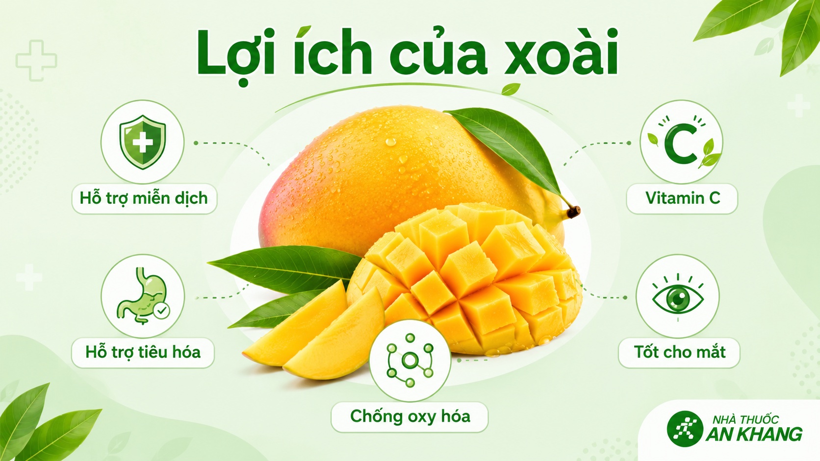 Xoài cung cấp vitamin, chất xơ và chất chống oxy hóa tốt cho sức khỏe Xoài cung cấp vitamin, chất xơ và chất chống oxy hóa tốt cho sức khỏe