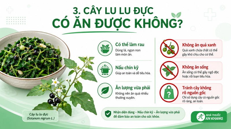 Cây lu lu đực có thể được dùng làm rau ở một số nơi, nhưng cần nhận diện đúng cây, nấu chín kỹ và tránh ăn quả xanh