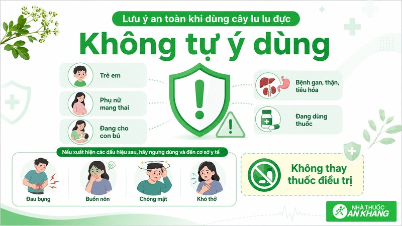 Không nên tự ý dùng cây lu lu đực cho trẻ em, phụ nữ mang thai, người có bệnh nền hoặc dùng thay thuốc điều trị