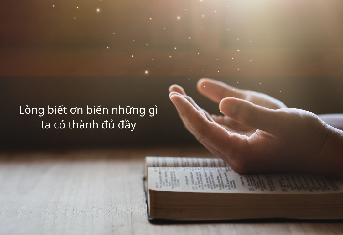Câu nói hay về lòng biết ơn