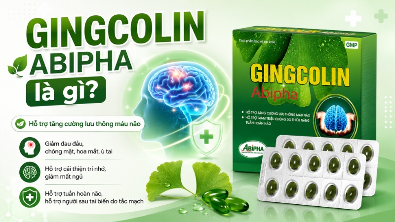 Gingcolin Abipha giúp cải thiện chức năng tuần hoàn não Gingcolin Abipha giúp cải thiện chức năng tuần hoàn não