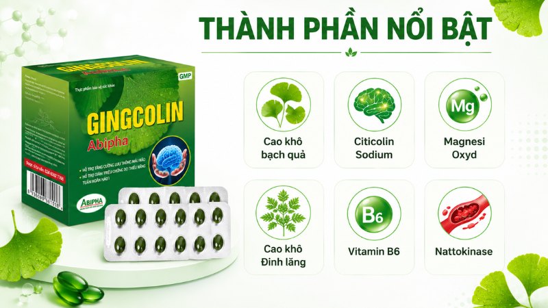 Các thành phần nổi bật của Gingcolin Abipha Các thành phần nổi bật của Gingcolin Abipha