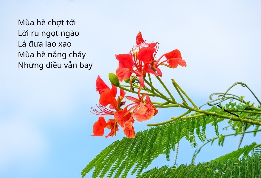Bài thơ mùa hè ngắn gọn, dễ nhớ