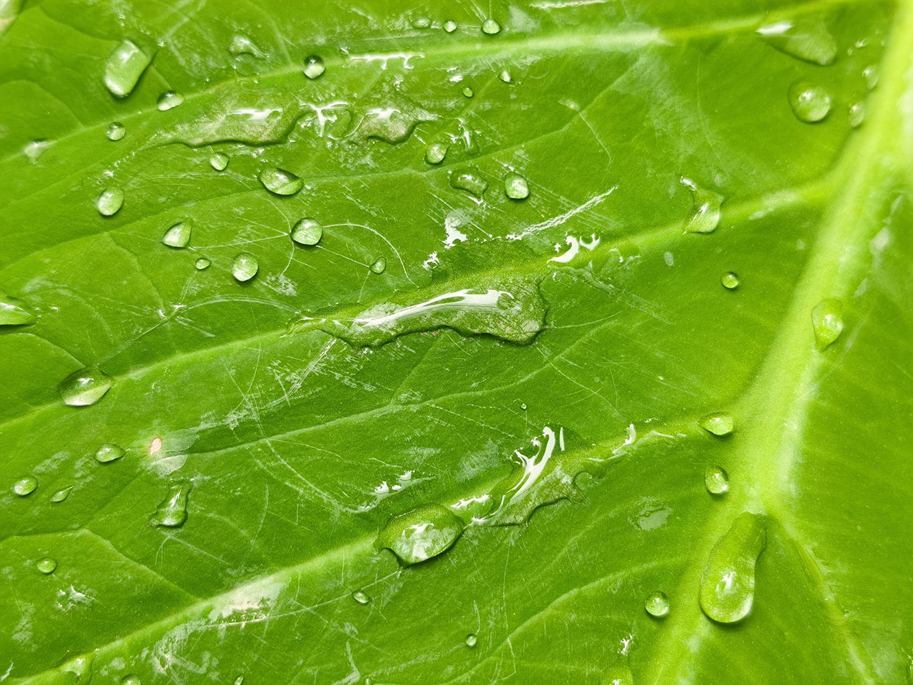 Ảnh 3