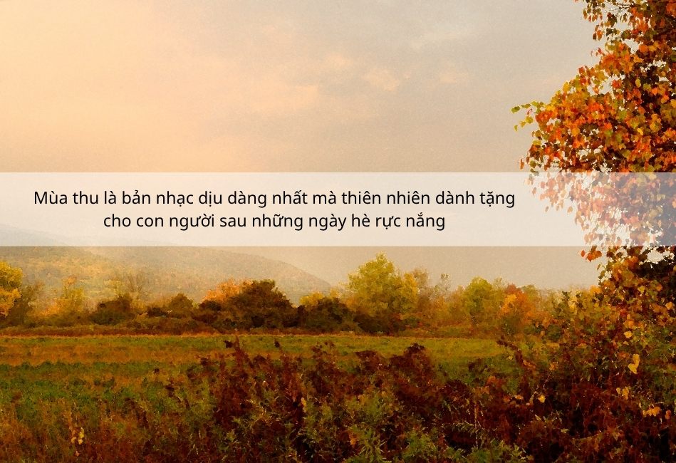 Những câu nói hay về mùa thu