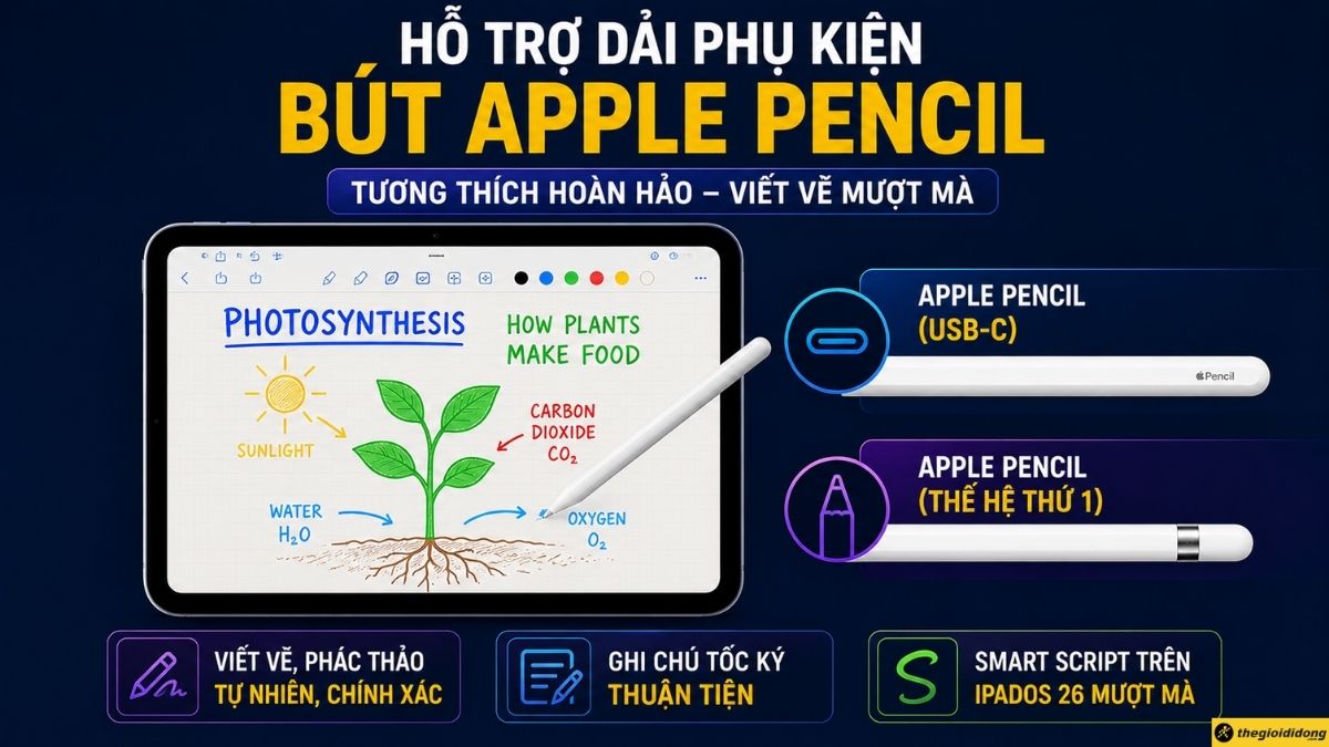 Hỗ trợ dải phụ kiện b&uacute;t Apple Pencil 