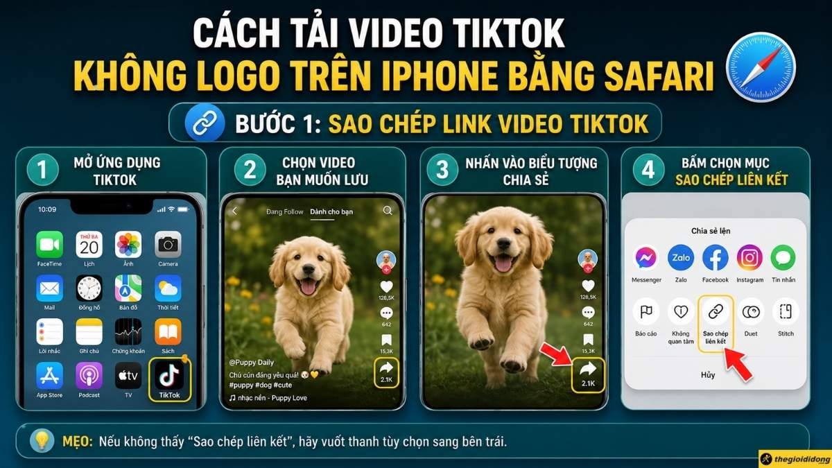 Sao ch&eacute;p link video TikTok