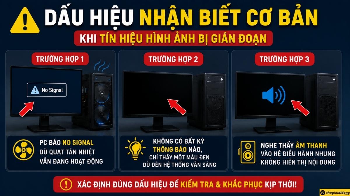 Dấu hiệu nhận biết cơ bản
